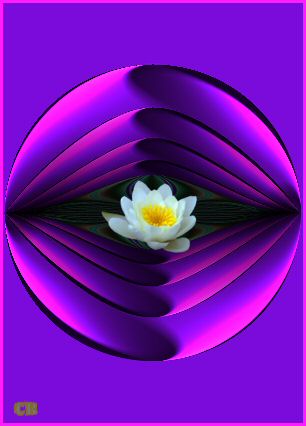 therapeutisch-mediumschap